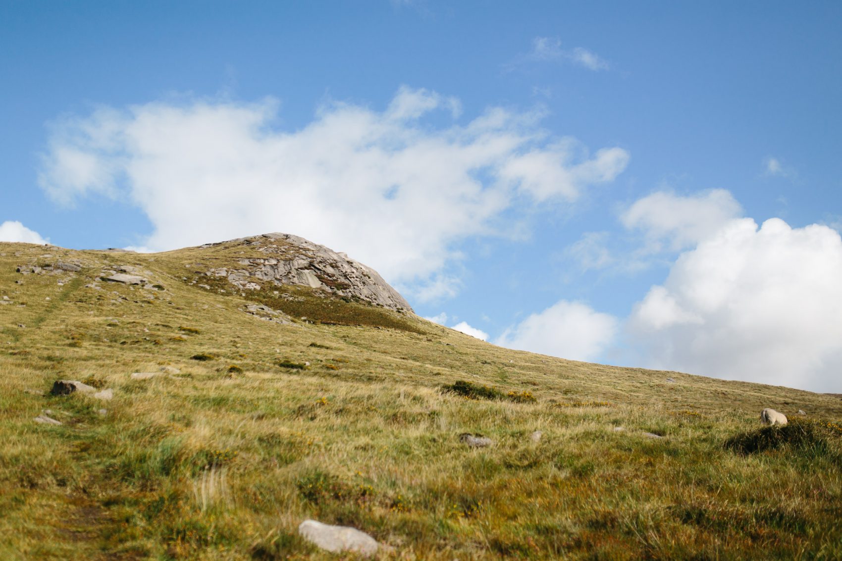 rk-web-98-1700x1133 Richard and Kate // Mourne Mountain Engagement Shoot